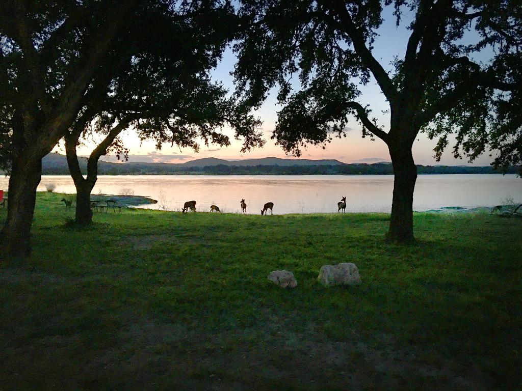 Medina Lake Camping Resort Cabin 3 Lakehills Eksteriør billede